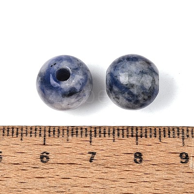Natural Blue Spot Jasper Beads G-Q602-08C-17-1