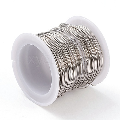 Non-Tarnish 316 Surgical Stainless Steel Wire TWIR-L004-01B-P-1