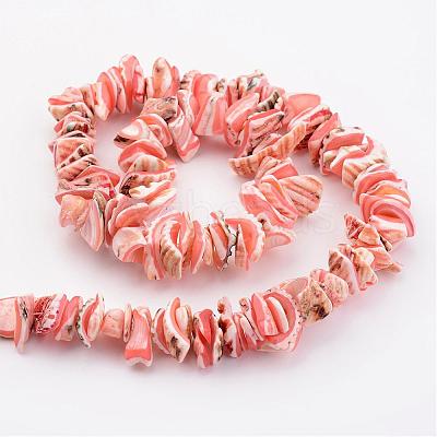 Natural Shell Bead Strands BSHE-P010-03-1