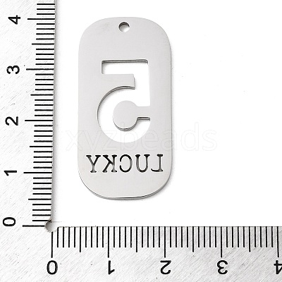 304 Stainless Steel Pendants STAS-D200-02F-P-1