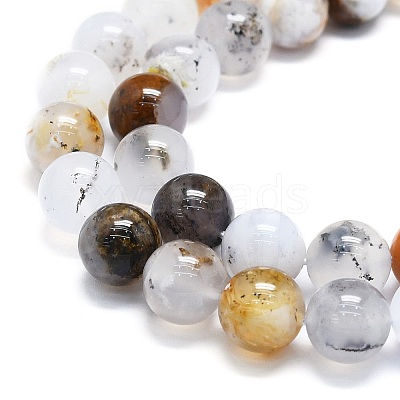 Natural White African Opal Beads Strands G-K245-A18-05-1