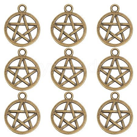 SUNNYCLUE Tibetan Style Alloy Pendants TIBEP-SC0002-60-1