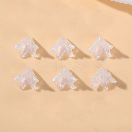 Transparent Acrylic Bead Caps PW-WGCFC53-01-1