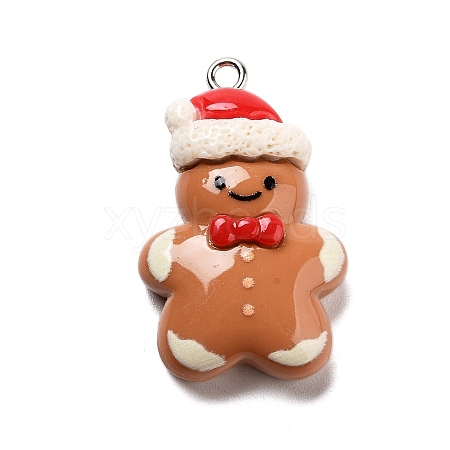 Christmas Theme Resin Pendants RESI-R450-04A-1