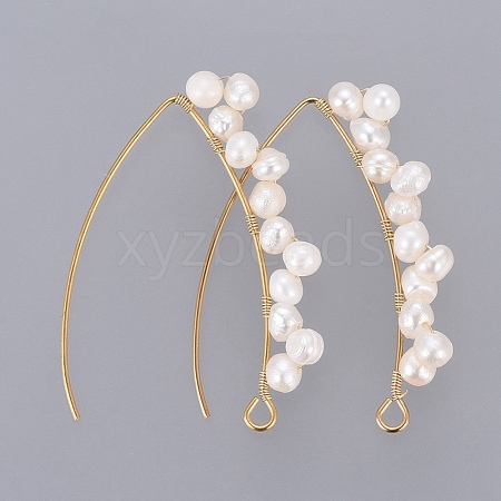 PVD Vacuum Plating 304 Stainless Steel Earring Hooks EJEW-JE03759-1