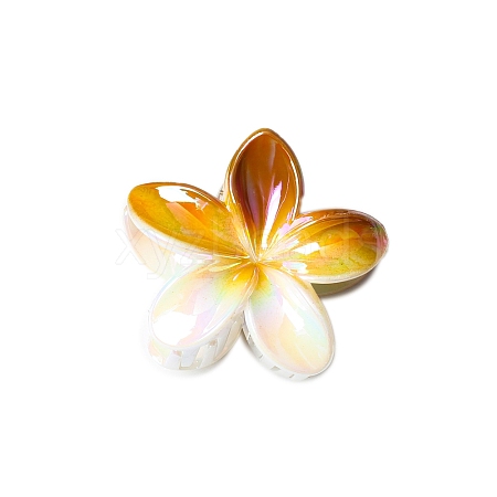 Resin Claw Hair Clips PW-WG93676-04-1