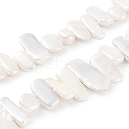 Electroplated Shell Pearl Beads Strands BSHE-C007-B01-01-1