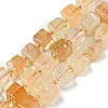 Natural Citrine Beads Beads Strands G-G053-B09-01B-1