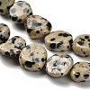 Natural Dalmatian Jasper Beads Strands G-P497-01E-80-4