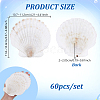 60Pcs Natural Shell Jewelry Decorative Plate AJEW-GA0009-64A-2