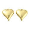 Rack Plating Eco-Friendly Brass Pendants KK-M255-10G-1