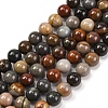 Natural Picture Jasper Beads Strands G-H037-A01-02-1