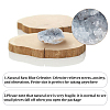 Irregular Natural Celestite/Celestine Home Display Decorations G-WH0018-035-3