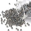 TOHO 6/0 Round Beads X-SEED-TR06-0266-1