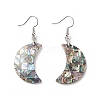 Abalone Shell/Paua Shell Dangle Earrings EJEW-F147-C15-1