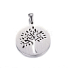 Non-Tarnish 304 Stainless Steel Pendants STAS-K162-105P-2