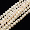 Natural Cultured Freshwater Pearl Beads Strands PEAR-L001-H-13-01-1