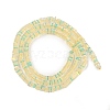 Electroplate Glass Beads Strands GLAA-B023-01A-05-2