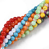 Natural Freshwater Shell Beads Strands X-SHEL-N003-24-A01-5