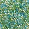 Glass Seed Beads SEED-L011-05B-02-3