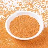 MIYUKI Round Rocailles Beads SEED-JP0008-RR0253-2