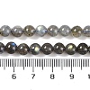 Grade AA Natural Gemstone Labradorite Round Beads Strands G-E251-33-6mm-01-8