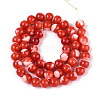 Natural Trochus Shell Mother of Pearl Shell Beads Strands SSHEL-T012-06-2