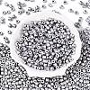 Baking Paint Pearlized Glass Seed Beads SEED-T008-03T-2