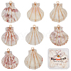 Beebeecraft 20Pcs Natural Scallop Shell Dyed Pendants FIND-BBC0003-15-1