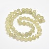 Frosted Electroplate Glass Shell Beads Strands EGLA-M002-B06-2
