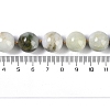 Natural Jabe Beads Beads Strands G-Q164-G04-01-5