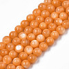 Natural Freshwater Shell Beads Strands SHEL-N003-24-B07-1