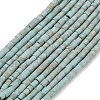 Dyed Synthetic Turquoise Beads Strands G-P594-01B-05-1