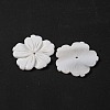 Natural Freshwater Shell Carved Beads BSHE-S304-16-2