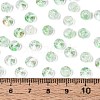 Baking Paint Transparent Glass Beads DGLA-T004-07G-4