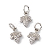 Rack Plating Brass Cubic Zirconia Charms KK-M236-10P-3