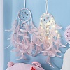 Iron Ring Woven Net/Web with Feather Wall Hanging Decoration PW-WG92890-01-2