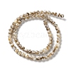 Natural Freshwater Shell Beads Strands X-SSHEL-B002-15-2