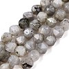 Natural Grey Labradorite Beads Strands G-T138-225-4