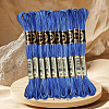 10 Skeins 6-Ply Polyester Embroidery Floss OCOR-CY0004-38H-5