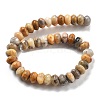 Natural Crazy Agate Beads Strands G-P559-A05-01-3