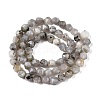 Natural Grey Labradorite Beads Strands G-T138-225-2