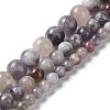 Natural Plum Blossom Tourmaline Beads Strands G-I355-01B-03-5