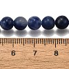 Natural Sodalite Round Bead Strands X-G-P072-27-6mm-5