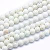 Natural Magnesite Beads Strands TURQ-G148-09-6mm-1