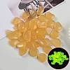 Resin Luminous Glow in the Dark Pebbles Stone PW-WG30806-09-1