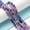 Natural Fluorite Beads Strands G-E598-02A-4