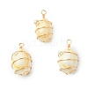 Natural Cowrie Shell Copper Wire Wrapped Pendants PALLOY-TA00196-01-1