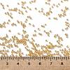 TOHO 15/0 Round Beads SEED-XTR15-0103B-4