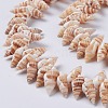 Natural Spiral Shell Beads Strands BSHE-I016-08-3